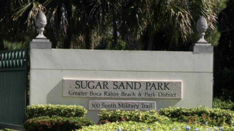 Rink Spotlight: Sugar Sand Park
